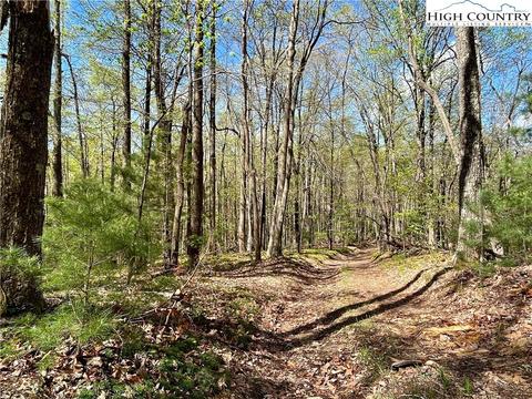 tbd Lyons Road, Roaring Gap, NC 28668 photo 7
