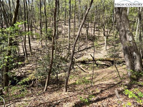 tbd Lyons Road, Roaring Gap, NC 28668 photo 25
