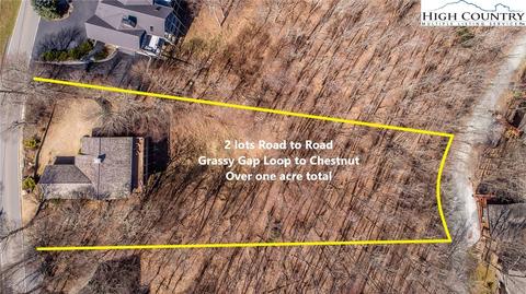 130 Grassy Gap Loop Rd, Beech Mountain, NC 28604 photo 6