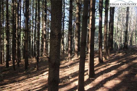 TBD Pine Swamp Road, Fleetwood, NC 28626
