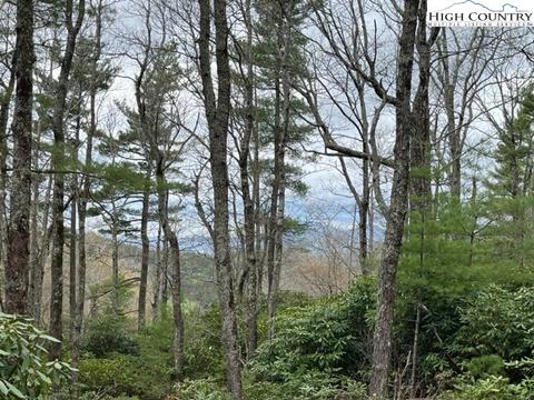 TBD Old Hampton Road, Boone, NC 28607