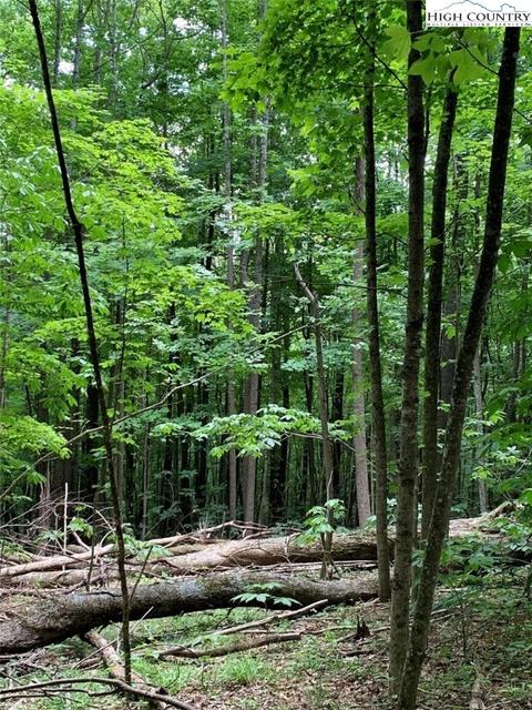 TBD One Tribe Way, Todd, NC 28684 photo 6