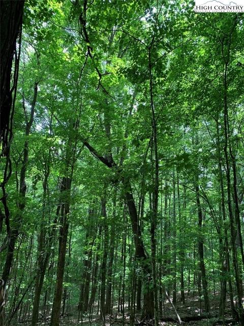 TBD One Tribe Way, Todd, NC 28684 photo 3