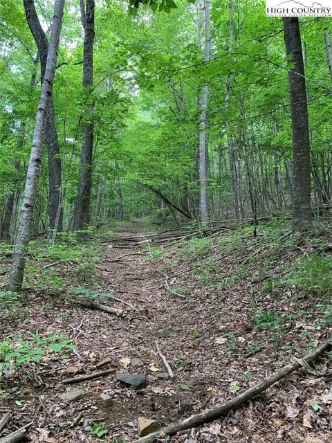 TBD One Tribe Way, Todd, NC 28684 photo 2