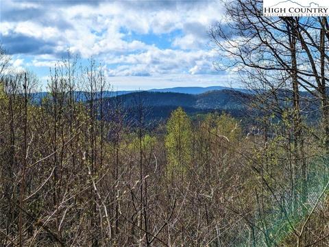 TBD One Tribe Way, Todd, NC 28684