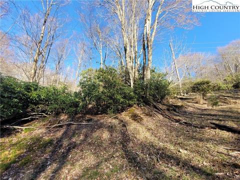268 Greenbriar Rd, Beech Mountain, NC 28604 photo 3