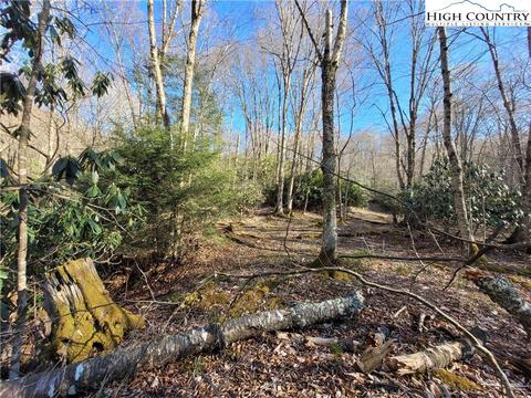 268 Greenbriar Rd, Beech Mountain, NC 28604 photo 4