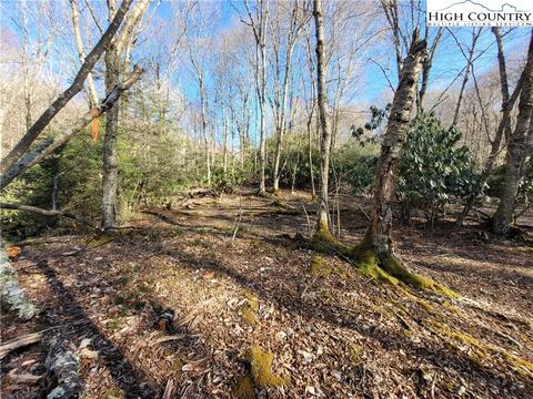 268 Greenbriar Rd, Beech Mountain, NC 28604 photo 5