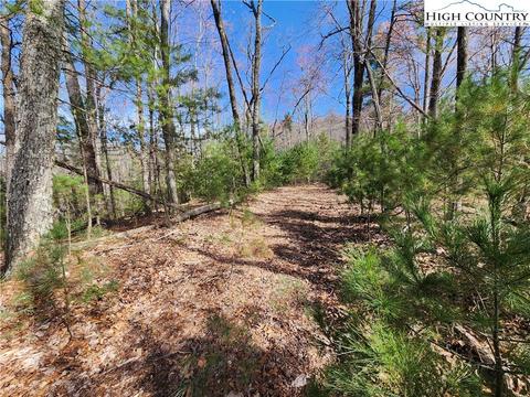TBD Deer Run, Purlear, NC 28665 photo 10