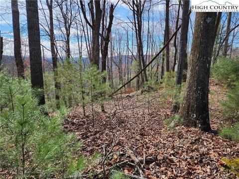 TBD Deer Run, Purlear, NC 28665 photo 4