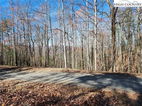 TBD Deer Run, Purlear, NC 28665 photo 11
