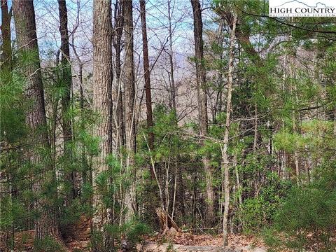 TBD Deer Run, Purlear, NC 28665 photo 6
