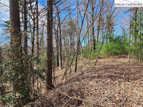 TBD Deer Run, Purlear, NC 28665 photo 2