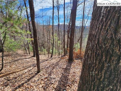 TBD Deer Run, Purlear, NC 28665 photo 8