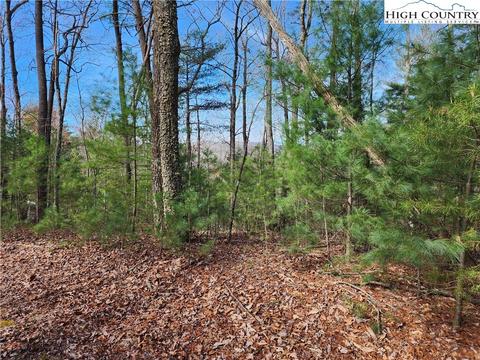 TBD Deer Run, Purlear, NC 28665 photo 5