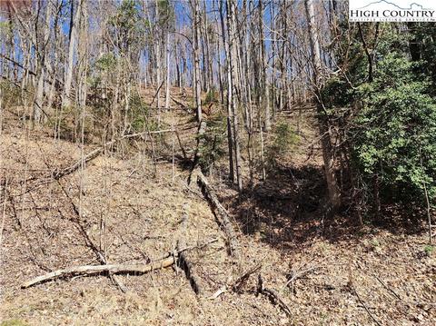 TBD Deer Run, Purlear, NC 28665 photo 12