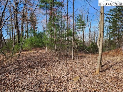TBD Deer Run, Purlear, NC 28665 photo 3