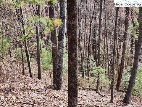 TBD Deer Run, Purlear, NC 28665 photo 7