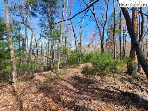 TBD Deer Run, Purlear, NC 28665 photo 9