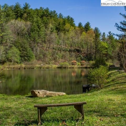 TBD Deer Run, Purlear, NC 28665 photo 13