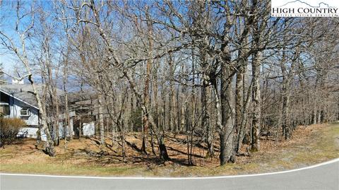 100 Pinnacle Ridge Rd, Beech Mountain, NC 28604 photo 32