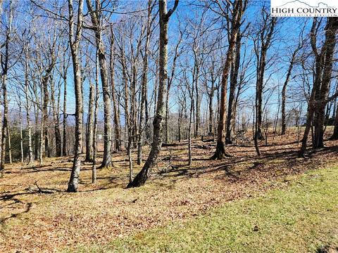 100 Pinnacle Ridge Rd, Beech Mountain, NC 28604 photo 7