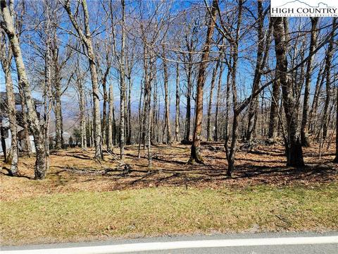 100 Pinnacle Ridge Rd, Beech Mountain, NC 28604 photo 2