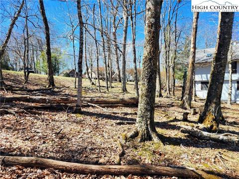 100 Pinnacle Ridge Rd, Beech Mountain, NC 28604 photo 17
