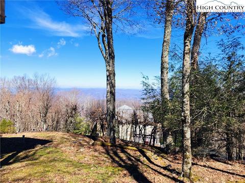 100 Pinnacle Ridge Rd, Beech Mountain, NC 28604 photo 8