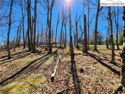 100 Pinnacle Ridge Rd, Beech Mountain, NC 28604 photo 13