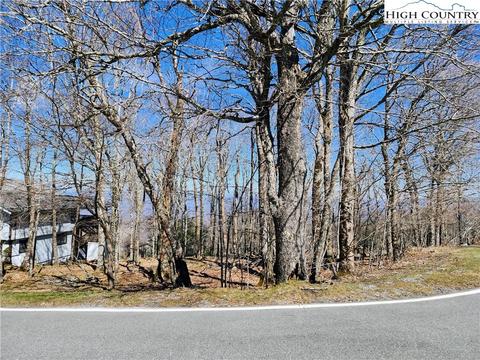 100 Pinnacle Ridge Rd, Beech Mountain, NC 28604 photo 25