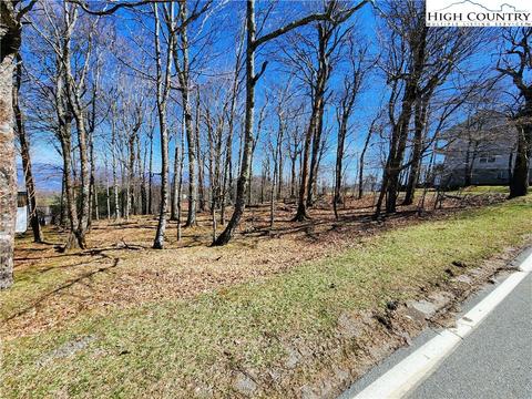 100 Pinnacle Ridge Rd, Beech Mountain, NC 28604 photo 5