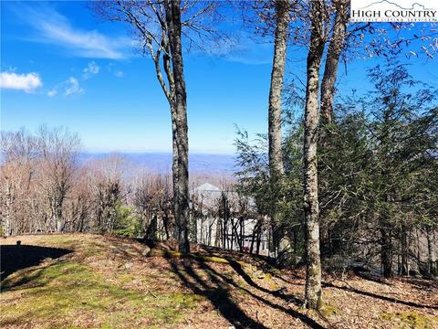 100 Pinnacle Ridge Rd, Beech Mountain, NC 28604 photo 9