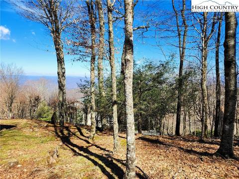 100 Pinnacle Ridge Rd, Beech Mountain, NC 28604 photo 14