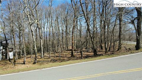 100 Pinnacle Ridge Rd, Beech Mountain, NC 28604 photo 30