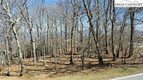 100 Pinnacle Ridge Rd, Beech Mountain, NC 28604 photo 29