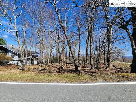 100 Pinnacle Ridge Rd, Beech Mountain, NC 28604 photo 3