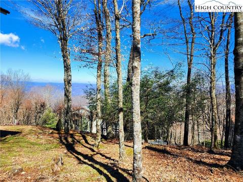 100 Pinnacle Ridge Rd, Beech Mountain, NC 28604 photo 15