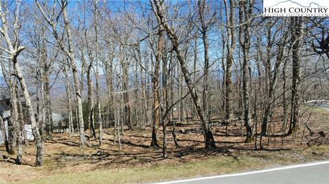 100 Pinnacle Ridge Rd, Beech Mountain, NC 28604 photo 28