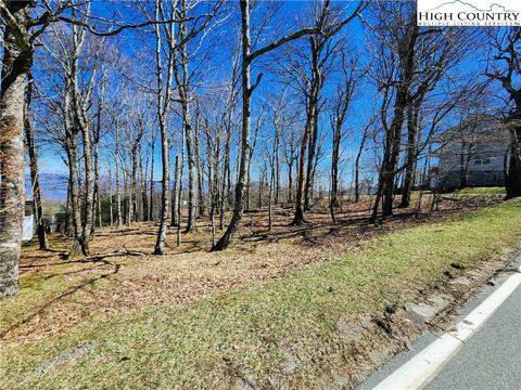 100 Pinnacle Ridge Rd, Beech Mountain, NC 28604 photo 6