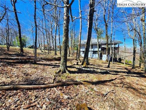 100 Pinnacle Ridge Rd, Beech Mountain, NC 28604 photo 18