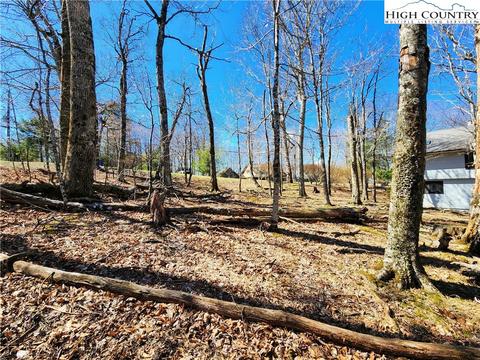 100 Pinnacle Ridge Rd, Beech Mountain, NC 28604 photo 20