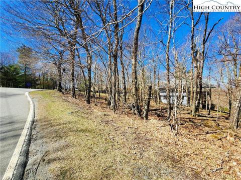 100 Pinnacle Ridge Rd, Beech Mountain, NC 28604 photo 21