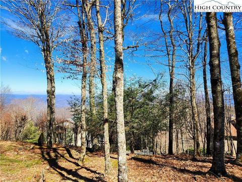 100 Pinnacle Ridge Rd, Beech Mountain, NC 28604 photo 16