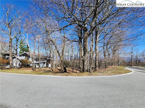 100 Pinnacle Ridge Rd, Beech Mountain, NC 28604 photo 24