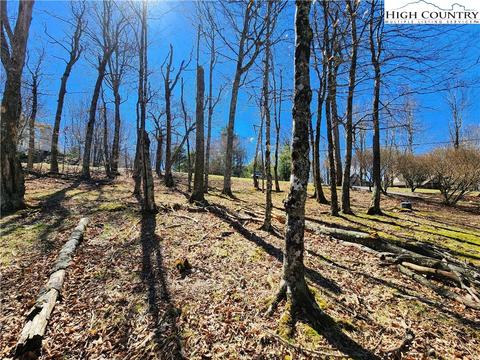 100 Pinnacle Ridge Rd, Beech Mountain, NC 28604 photo 12