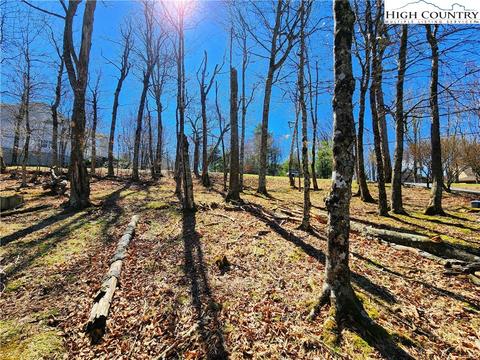 100 Pinnacle Ridge Rd, Beech Mountain, NC 28604 photo 11