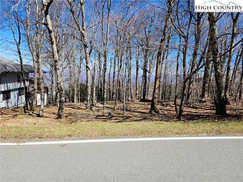 100 Pinnacle Ridge Rd, Beech Mountain, NC 28604 photo 1
