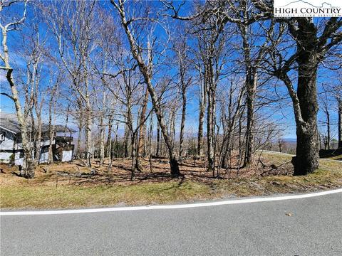 100 Pinnacle Ridge Rd, Beech Mountain, NC 28604 photo 4