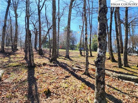 100 Pinnacle Ridge Rd, Beech Mountain, NC 28604 photo 10